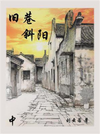 旧巷斜阳（中）