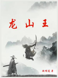 龙山王