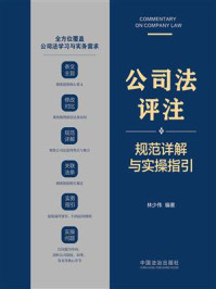 公司法评注：规范详解与实操指引