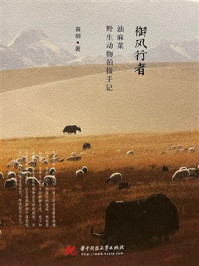 御风行者：油麻菜野生动物拍摄手记