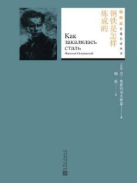 钢铁是怎样炼成的(插图本名著名译丛书)
