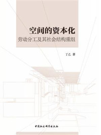 空间的资本化：劳动分工及其社会结构重组