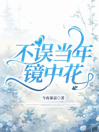不误当年镜中花