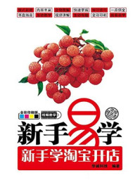 新手易学：新手学淘宝开店
