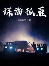 谍海孤雁
