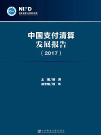 中国支付清算发展报告（2017）