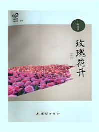 玫瑰花开