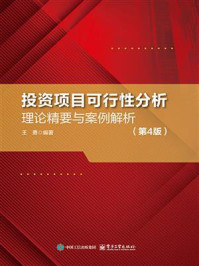 投资项目可行性分析：理论精要与案例解析