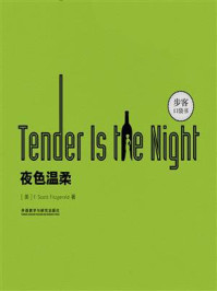 Tender Is the Night夜色温柔(英文原版)