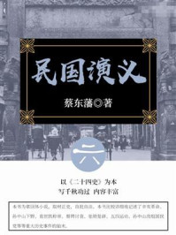 蔡东藩经典历史小说：民国演义（6）