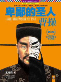 卑鄙的圣人:曹操3