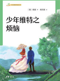 少年维特之烦恼