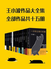 王小波作品大全集（共15册）