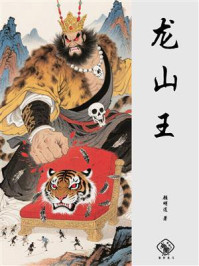 龙山王