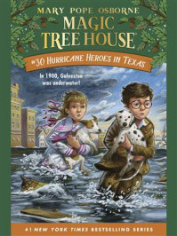 Hurricane Heroes in Texas