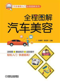 全程图解汽车美容