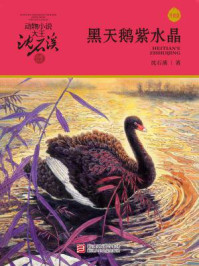 黑天鹅紫水晶（升级版）（动物小说大王沈石溪·品藏书系）