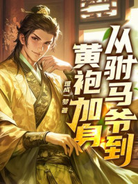 从驸马爷到黄袍加身