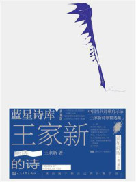 王家新的诗