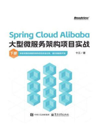 Spring Cloud Alibaba大型微服务架构项目实战.下册