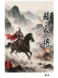 薛家将