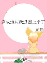 穿成炮灰我退圈上岸了