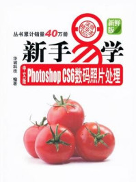 中文版PhotoshopCS6数码照片处理