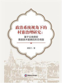 政治系统视角下的村寨治理研究：基于云南德宏景颇族木爱寨的形态调查