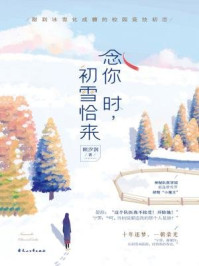 念你时，初雪恰来