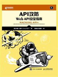 API攻防：Web API安全指南