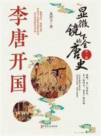 显微镜下的全唐史（第一部）李唐开国