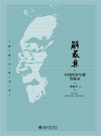 解惑集:中国经济专题答疑录