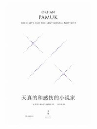 天真的和感伤的小说家