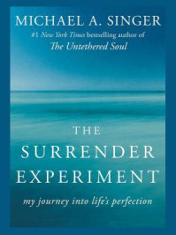 The Surrender Experiment