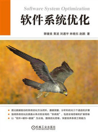 软件系统优化