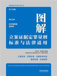 图解立案证据定罪量刑标准与法律适用（第十四版·第五分册）