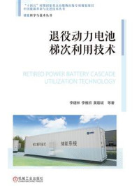 退役动力电池梯次利用技术