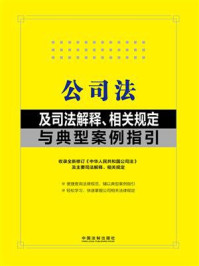 公司法及司法解释、相关规定与典型案例指引