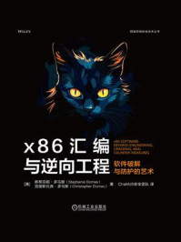 x86汇编与逆向工程：软件破解与防护的艺术