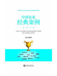 中国企业经典案例2018