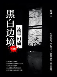 黑白边境：流星幻痛（全2册）