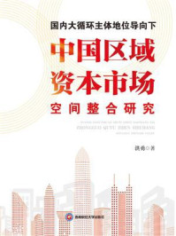 国内大循环主体地位导向下中国区域资本市场空间整合研究
