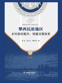攀西民族地区乡村组织振兴：构建治理体系