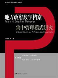 地方政府数字档案集中管理模式研究（国家社会科学基金项目成果）