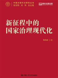 新征程中的国家治理现代化(中国式现代化研究丛书)