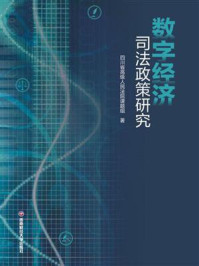 数字经济司法政策研究