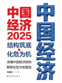 中国经济2025：结构筑底与化危为机（读懂中国经济结构，解锁化危为机路径）