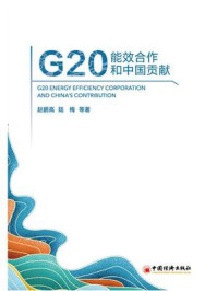 G20能效合作和中国贡献