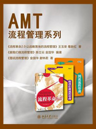 AMT流程管理系列（全三册）
