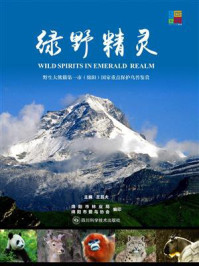 绿野精灵